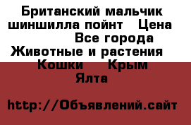 Британский мальчик шиншилла-пойнт › Цена ­ 5 000 - Все города Животные и растения » Кошки   . Крым,Ялта